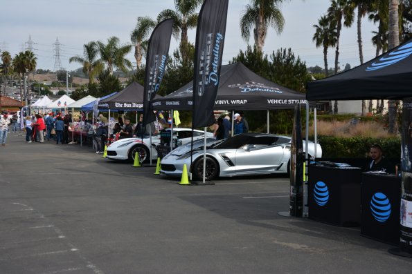 Vettes_Vets_0030