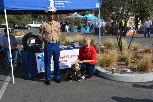 Vettes_Vets_0031