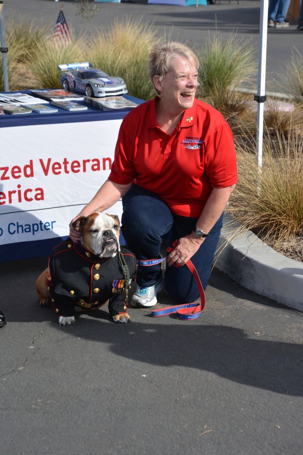 Vettes_Vets_0032