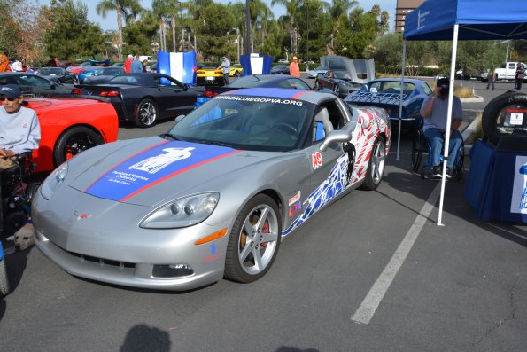 Vettes_Vets_0033