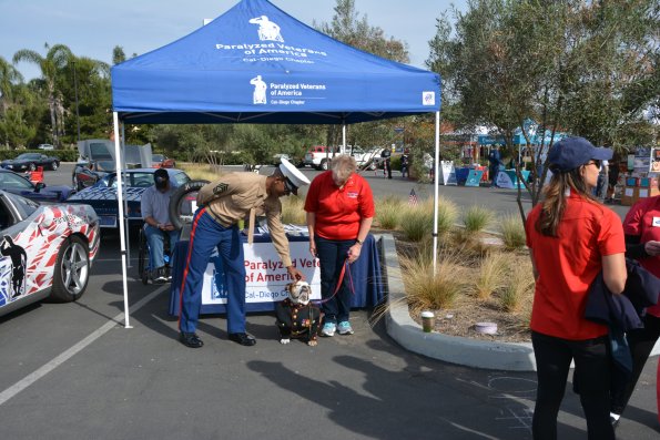 Vettes_Vets_0036