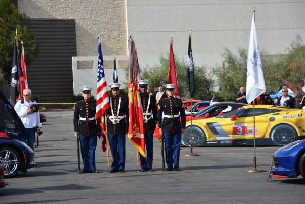 Vettes_Vets_0041
