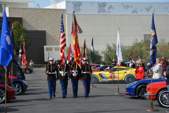 Vettes_Vets_0044