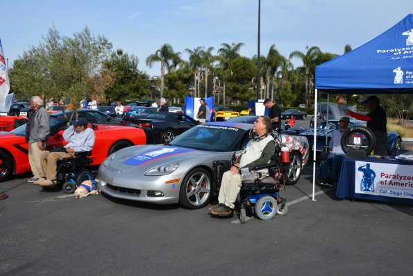 Vettes_Vets_0048