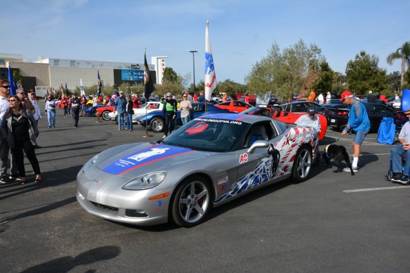 Vettes_Vets_0050