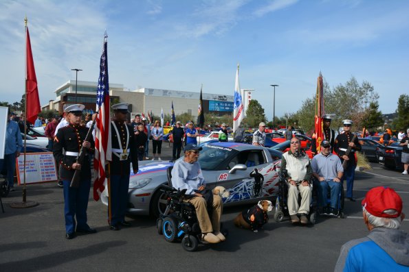 Vettes_Vets_0058