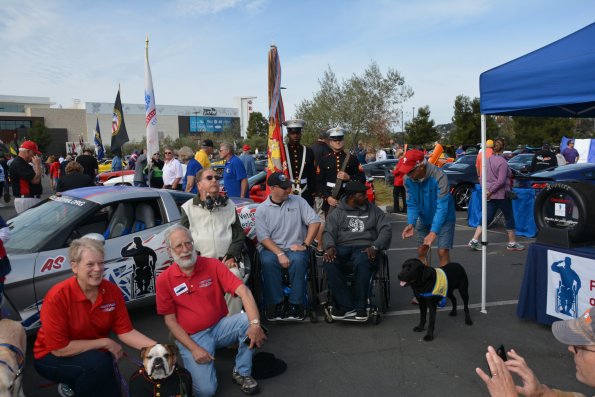 Vettes_Vets_0061
