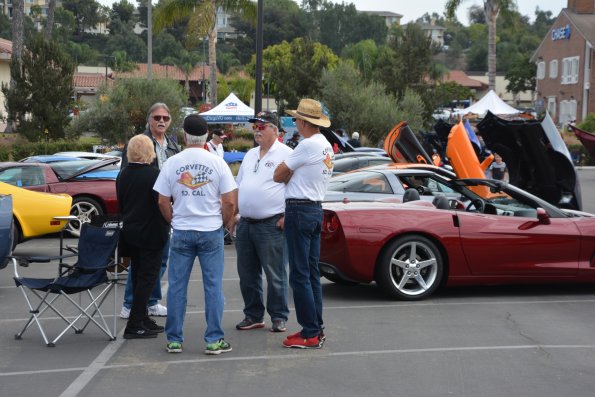 Vettes_Vets_0062