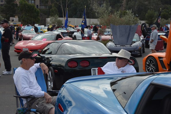 Vettes_Vets_0069