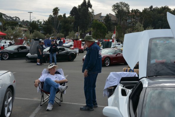 Vettes_Vets_0070