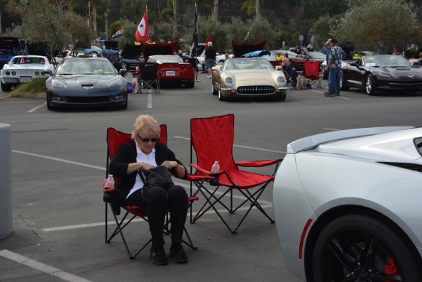 Vettes_Vets_0071