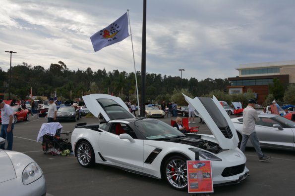 Vettes_Vets_0073