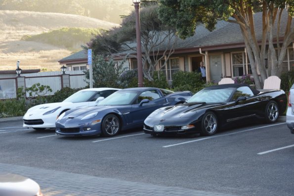 cambria_019