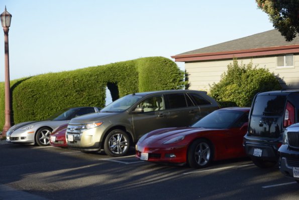 cambria_025