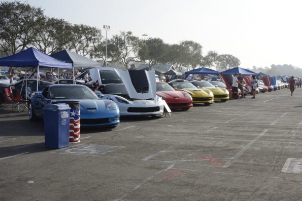 Crusin4acure_003