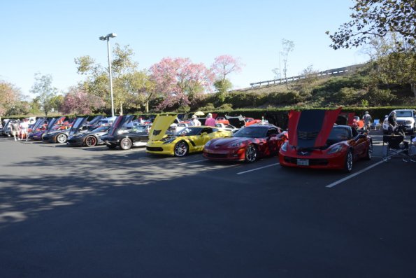 Corvette_SS_Show_038