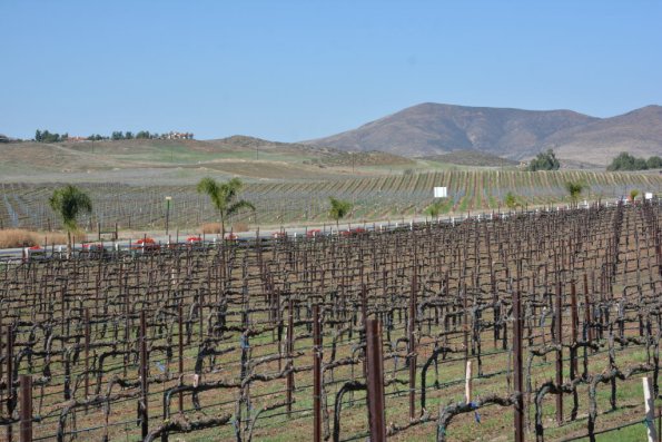 Temecula_0040