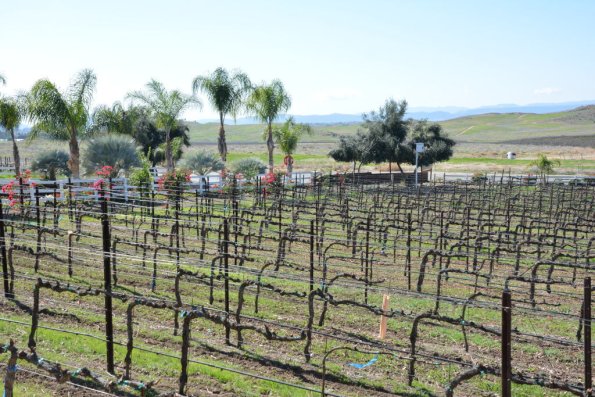 Temecula_0048