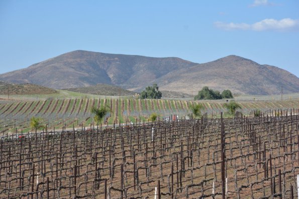 Temecula_0069