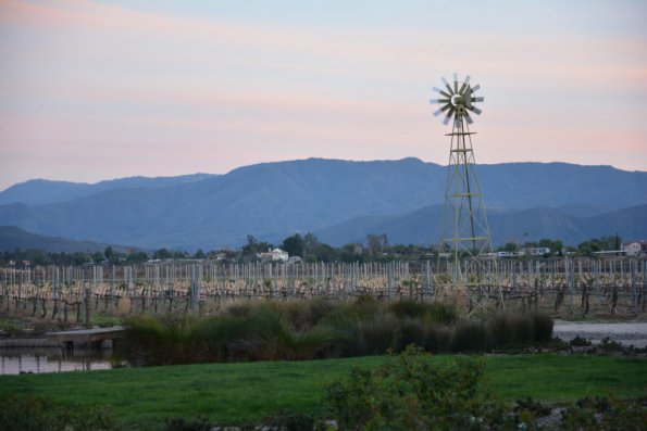 Temecula_0135