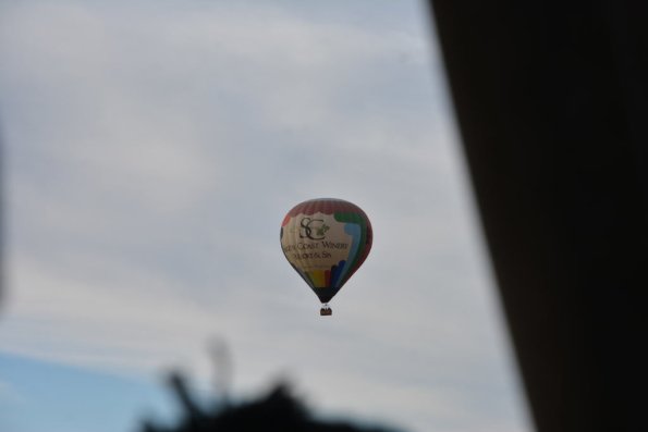Temecula_0230