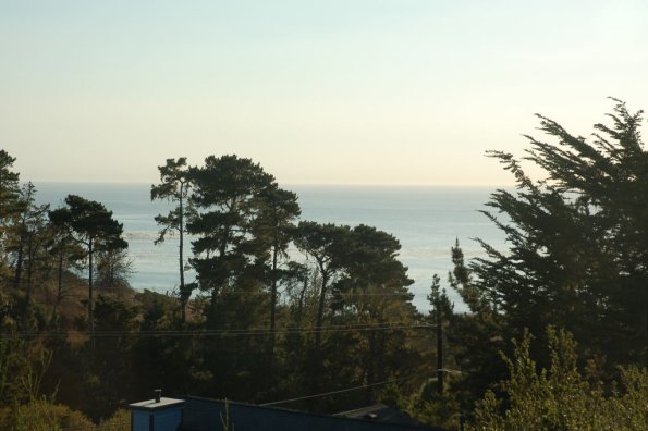 cambriaDR_0015