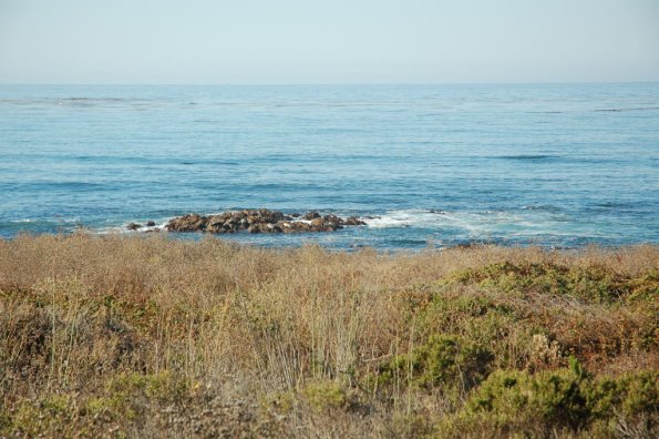 cambriaDR_0043