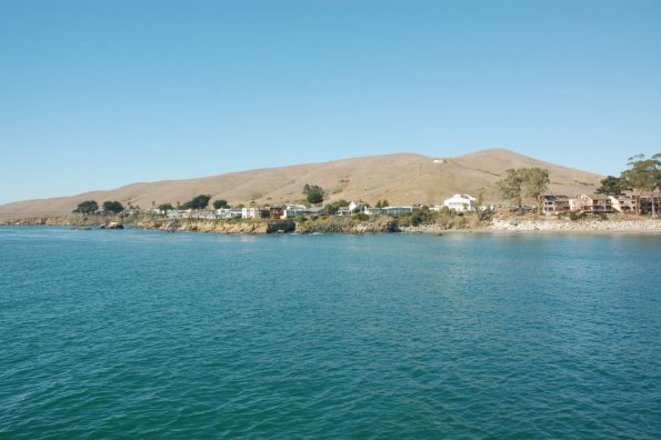 cambriaDR_0242