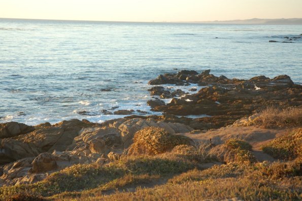 cambriaDR_0261