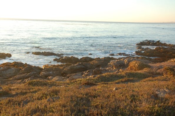 cambriaDR_0262