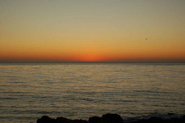 cambriaDR_0277