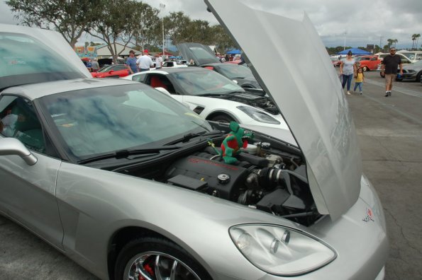 DR_Crusin4Cure_0003