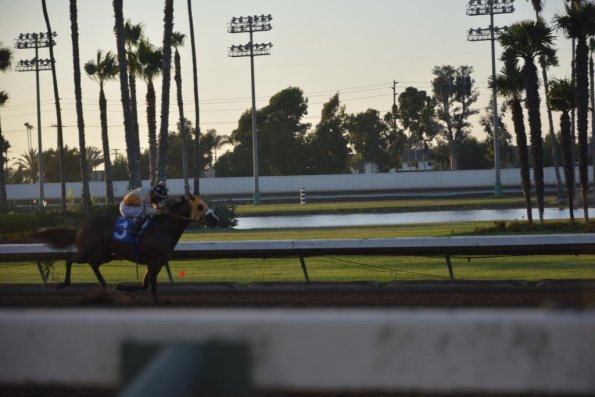 NightAtRaces_046