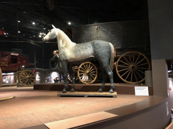 2019_OTRA_0478