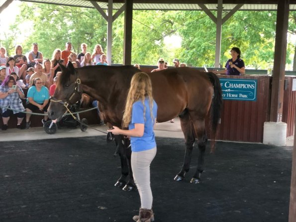 2019_OTRA_0573