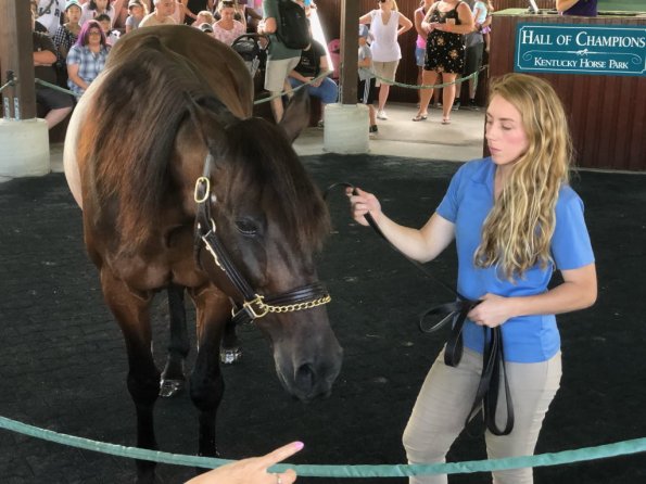 2019_OTRA_0575