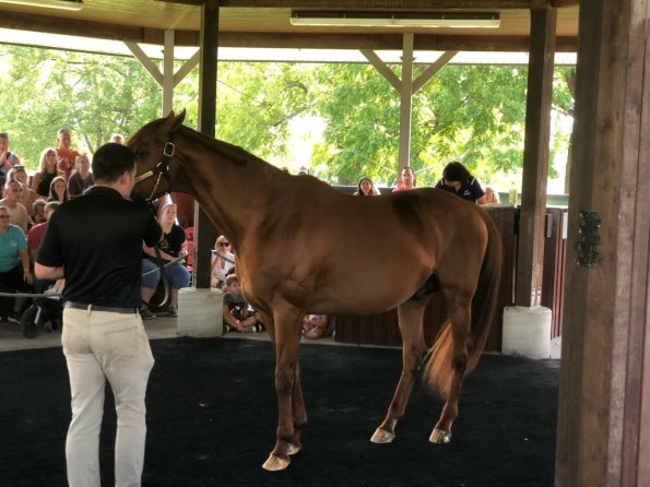 2019_OTRA_0579