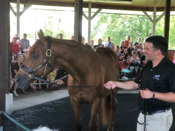 2019_OTRA_0580