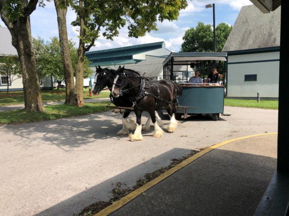 2019_OTRA_0598
