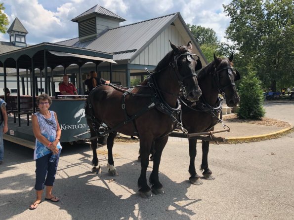 2019_OTRA_0603