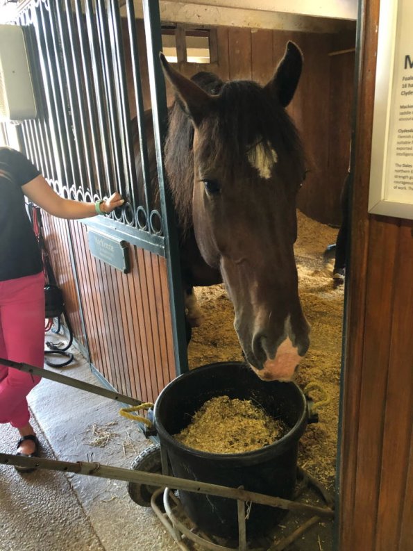 2019_OTRA_0607