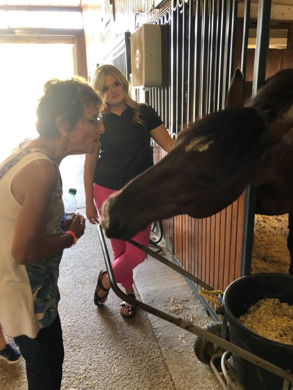 2019_OTRA_0608