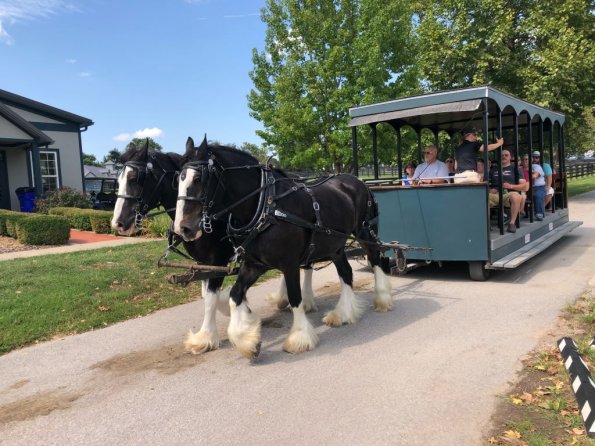 2019_OTRA_0611