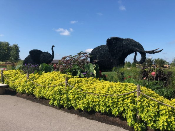 2019_OTRA_0635