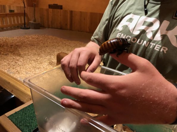 2019_OTRA_0982