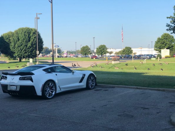 2019_OTRA_0987