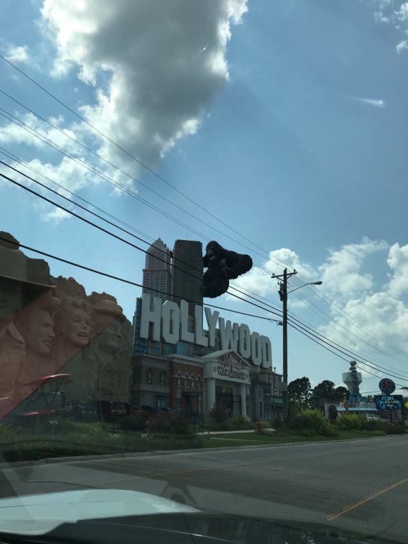 2019_OTRA_1003