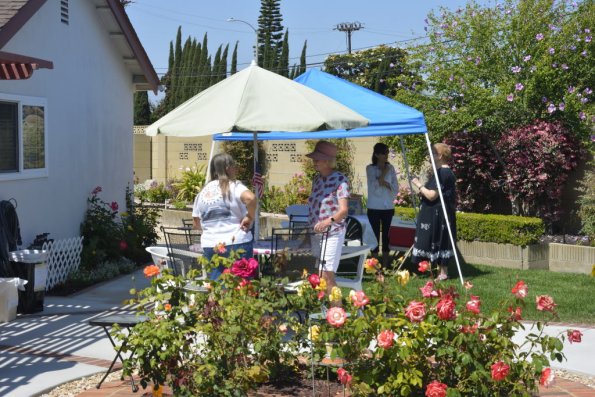 Picnic_011