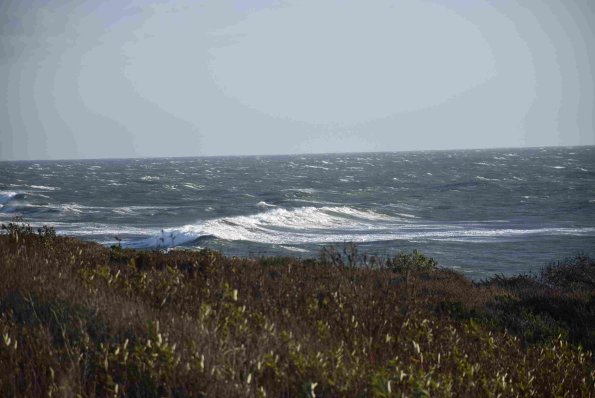 DSC_0085_01