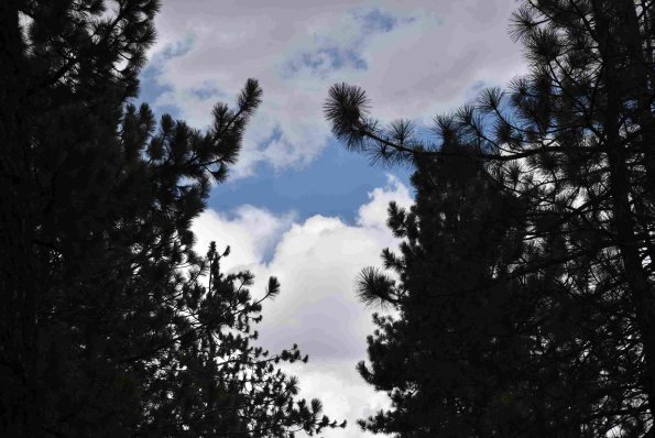 DSC_0176_01